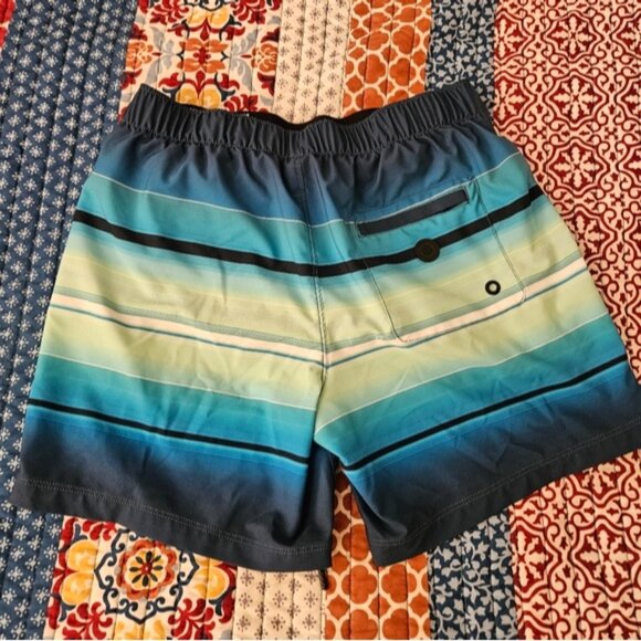 EveryDay Sunday Men's Size M Swimwear Lined Board Shorts Striped Blue Colorway - Picture 10 of 10